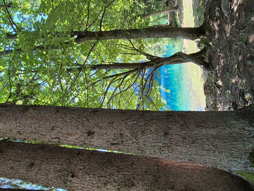 Julijski Alpi